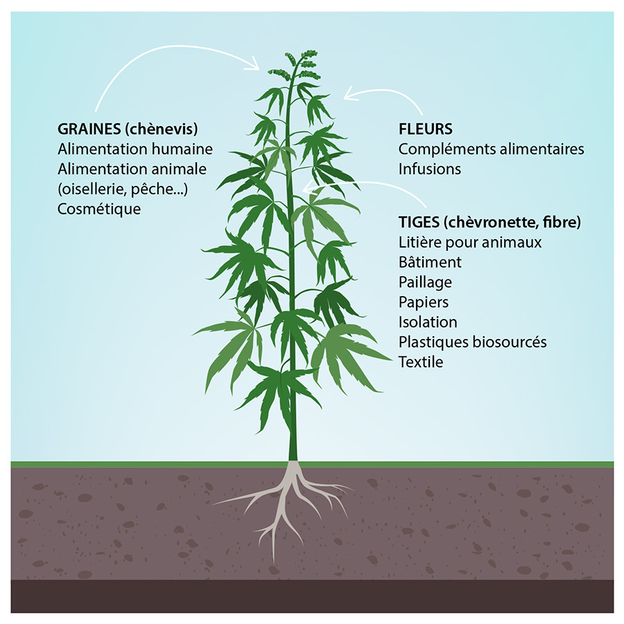 schema chanvriere utilisation