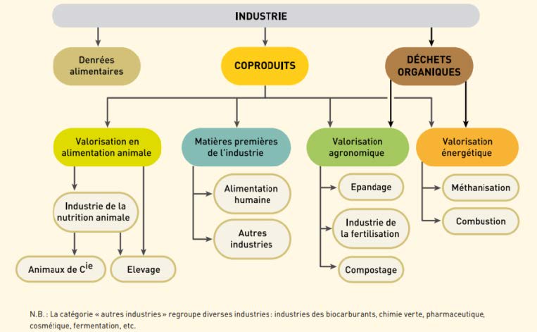 0valorisation Coproduits En Plasturgie