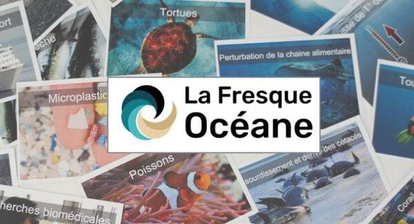 Image Fresque Océane