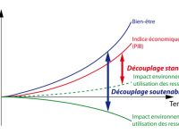 Theorie Cedar Creek Bio Depth